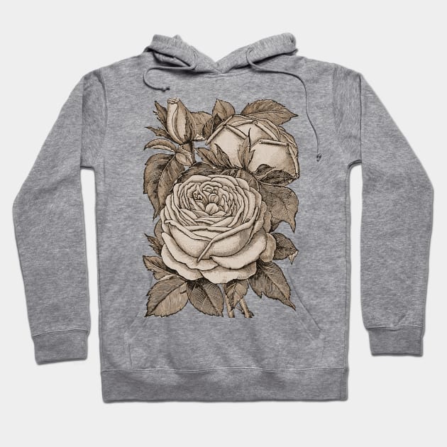 Rose Hoodie by DrDesign